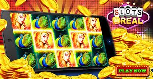 v7v7 bet